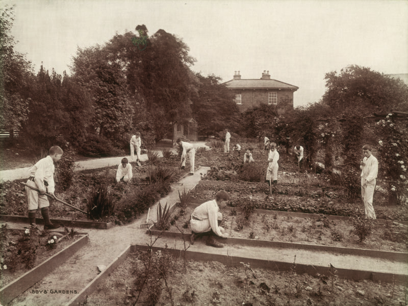 Boys in the kitchen garden © Coram in the care of the Foundling Museum