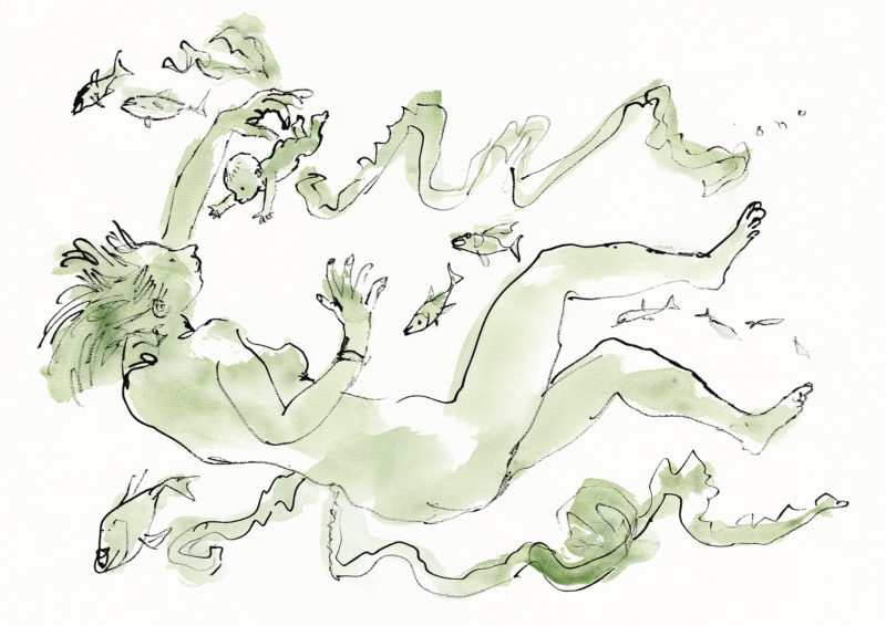 Maternity Hospital Angers © Quentin Blake