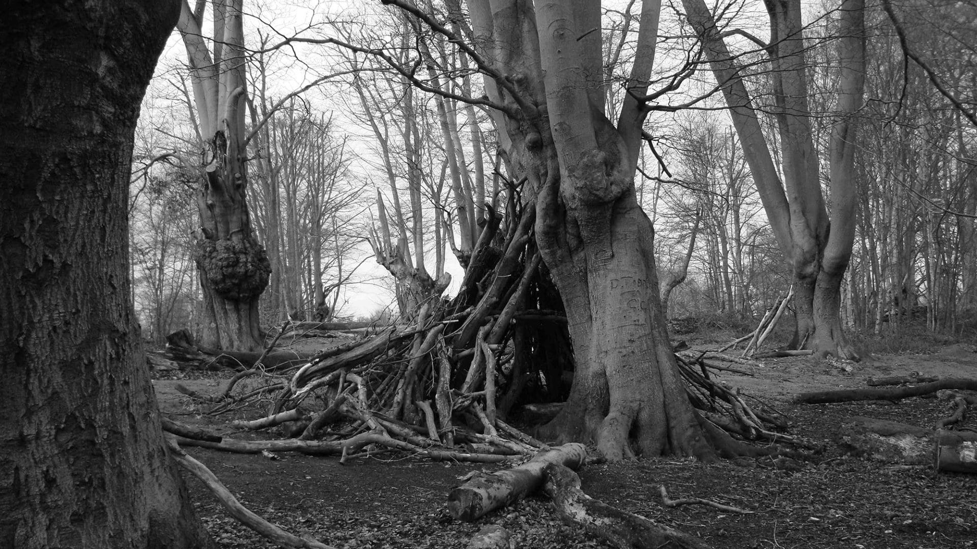 The Foundling: Terry Smith