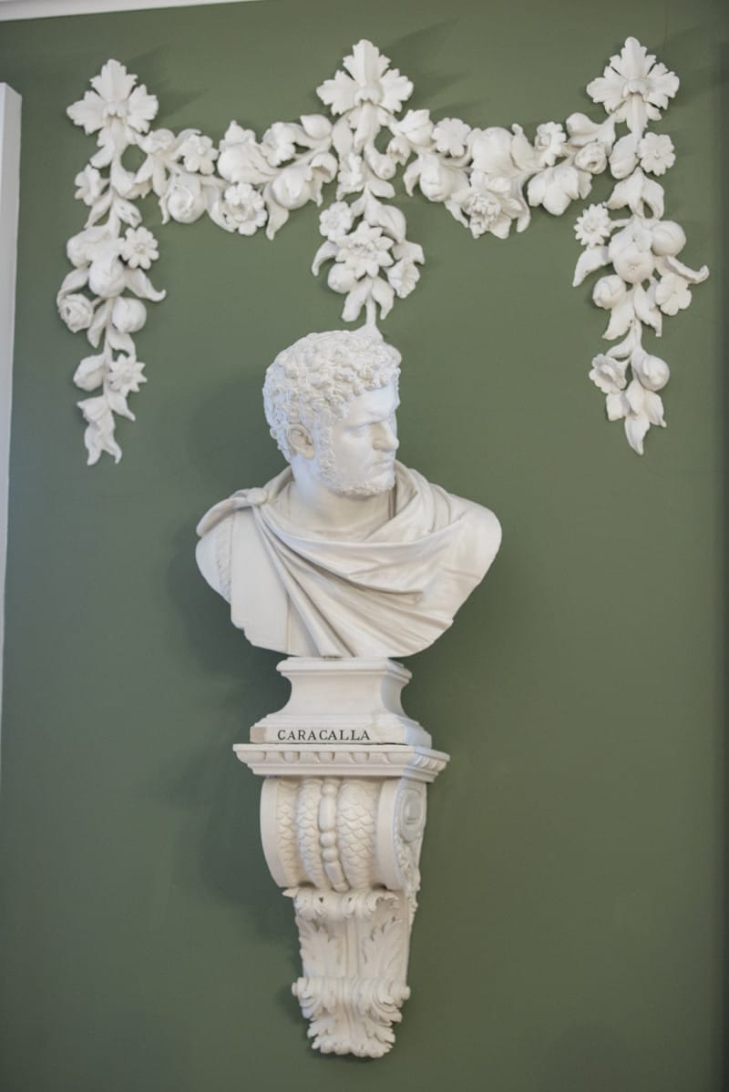 Photograph Will Scott