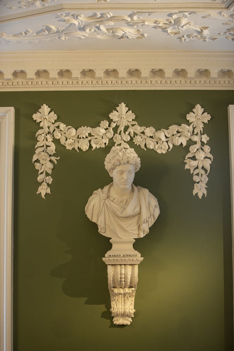 Photograph Will Scott