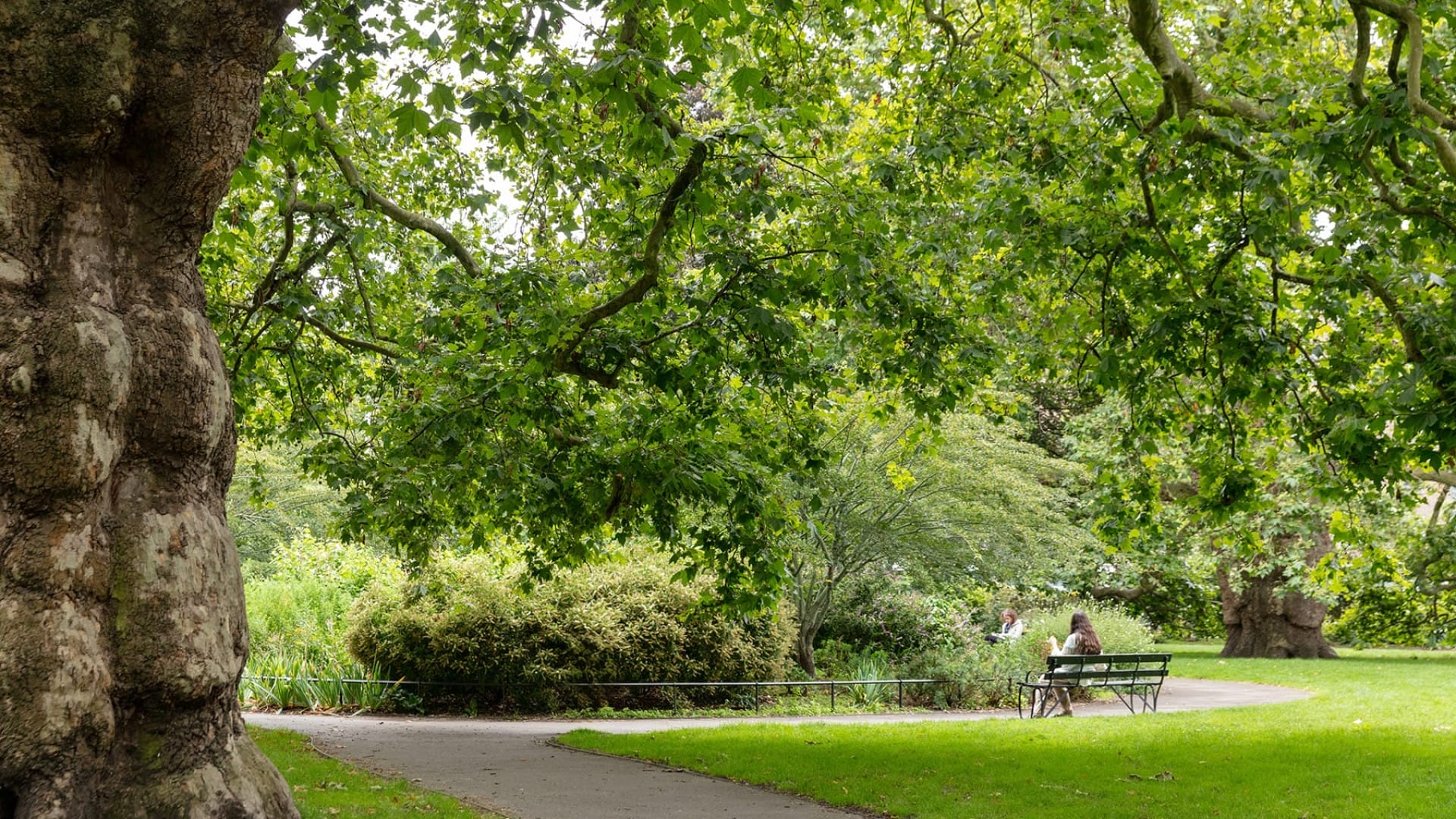 Walking Tour: London&#8217;s Green Spaces